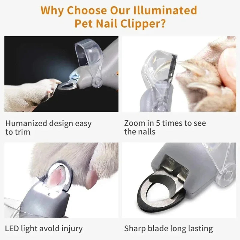 Professional Pet Nail Clipper Scissors With LED Light Cat Dog Nail Clippers Tool Scissors Nail Toeclaw Cutter Scissors Pet Supply